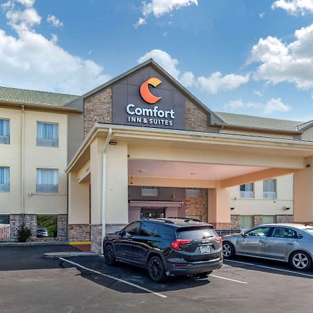 Comfort Inn&Suites Cincinnati Eksteriør bilde